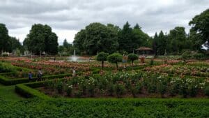 Peninsula Park Rose Garden